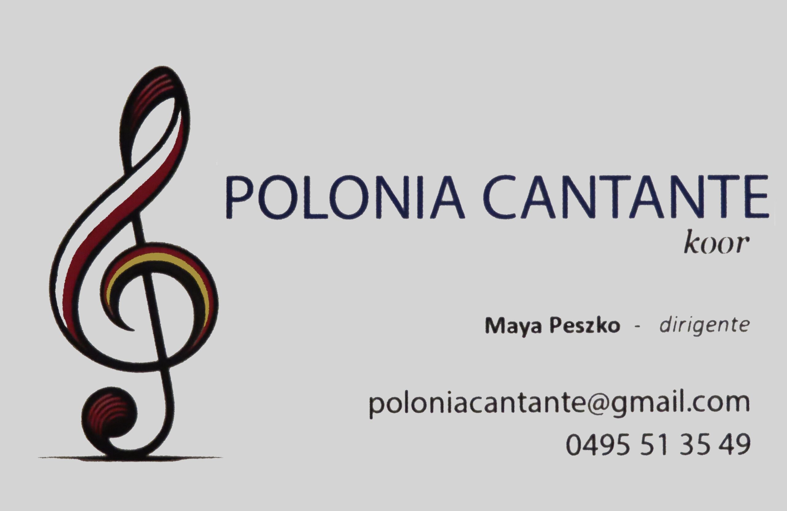 Opis